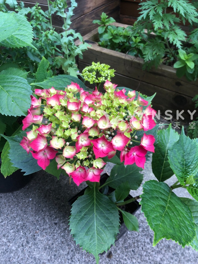 250619164657_Weixin Image_20250619164458.jpg